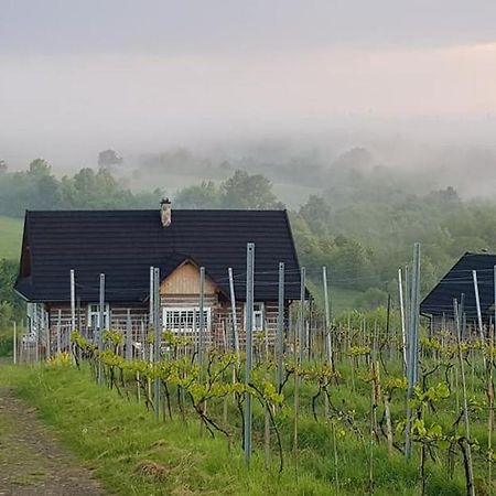 Utopia Dom Przy Winnicy Nowica Exterior foto