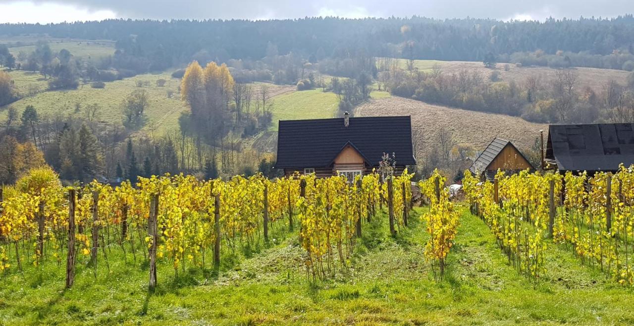 Utopia Dom Przy Winnicy Nowica Exterior foto