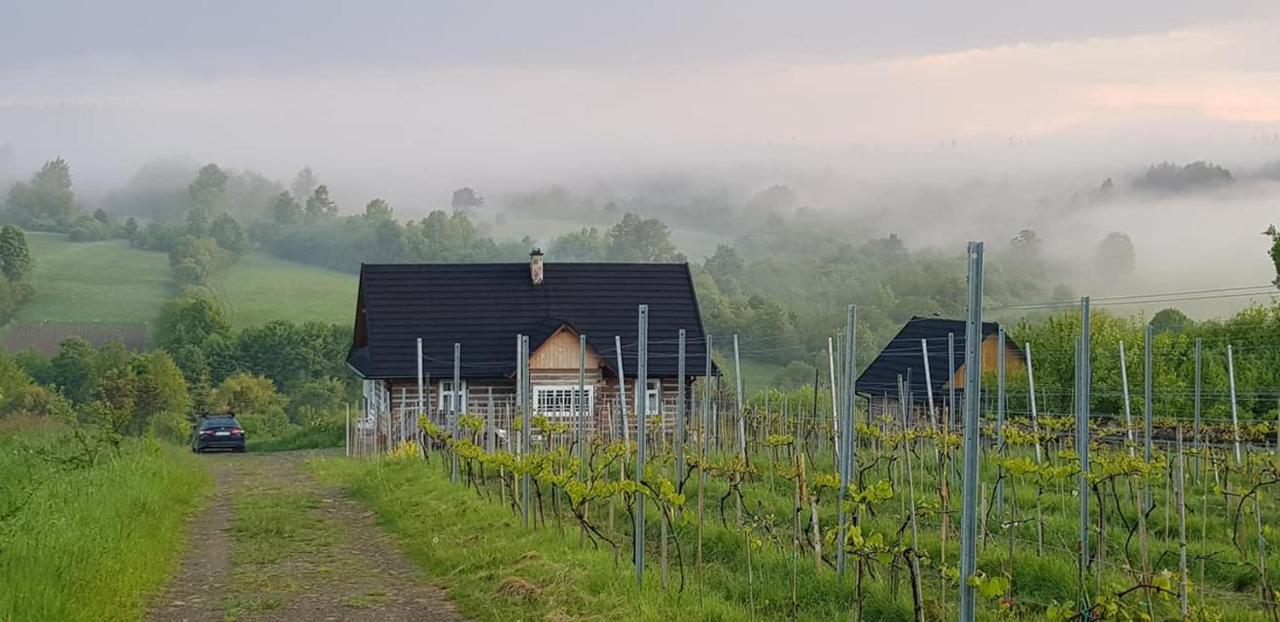 Utopia Dom Przy Winnicy Nowica Exterior foto
