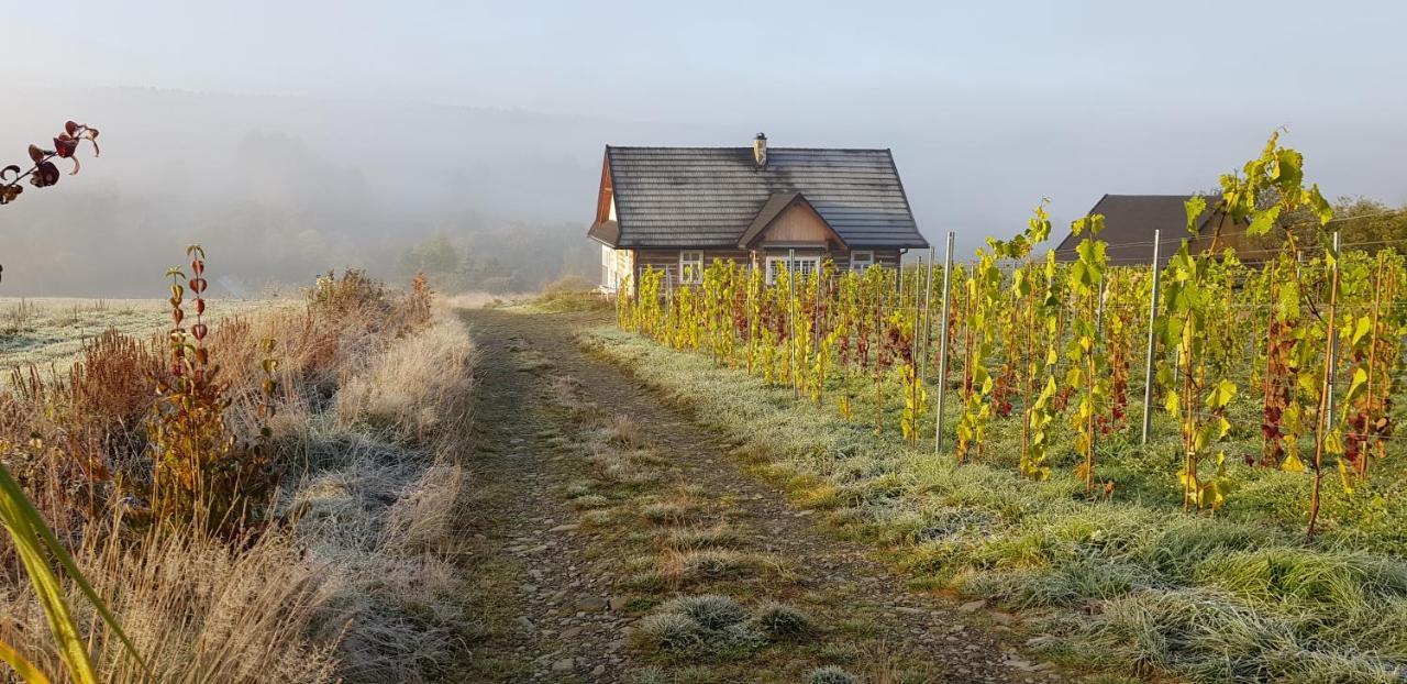 Utopia Dom Przy Winnicy Nowica Exterior foto