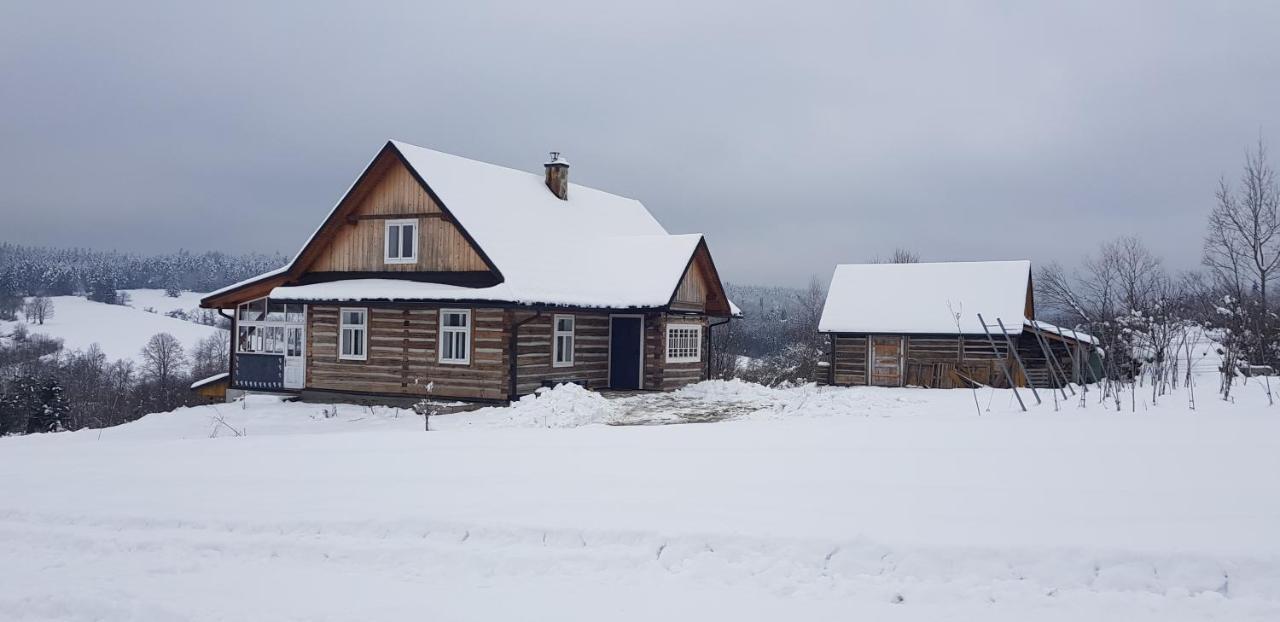 Utopia Dom Przy Winnicy Nowica Exterior foto