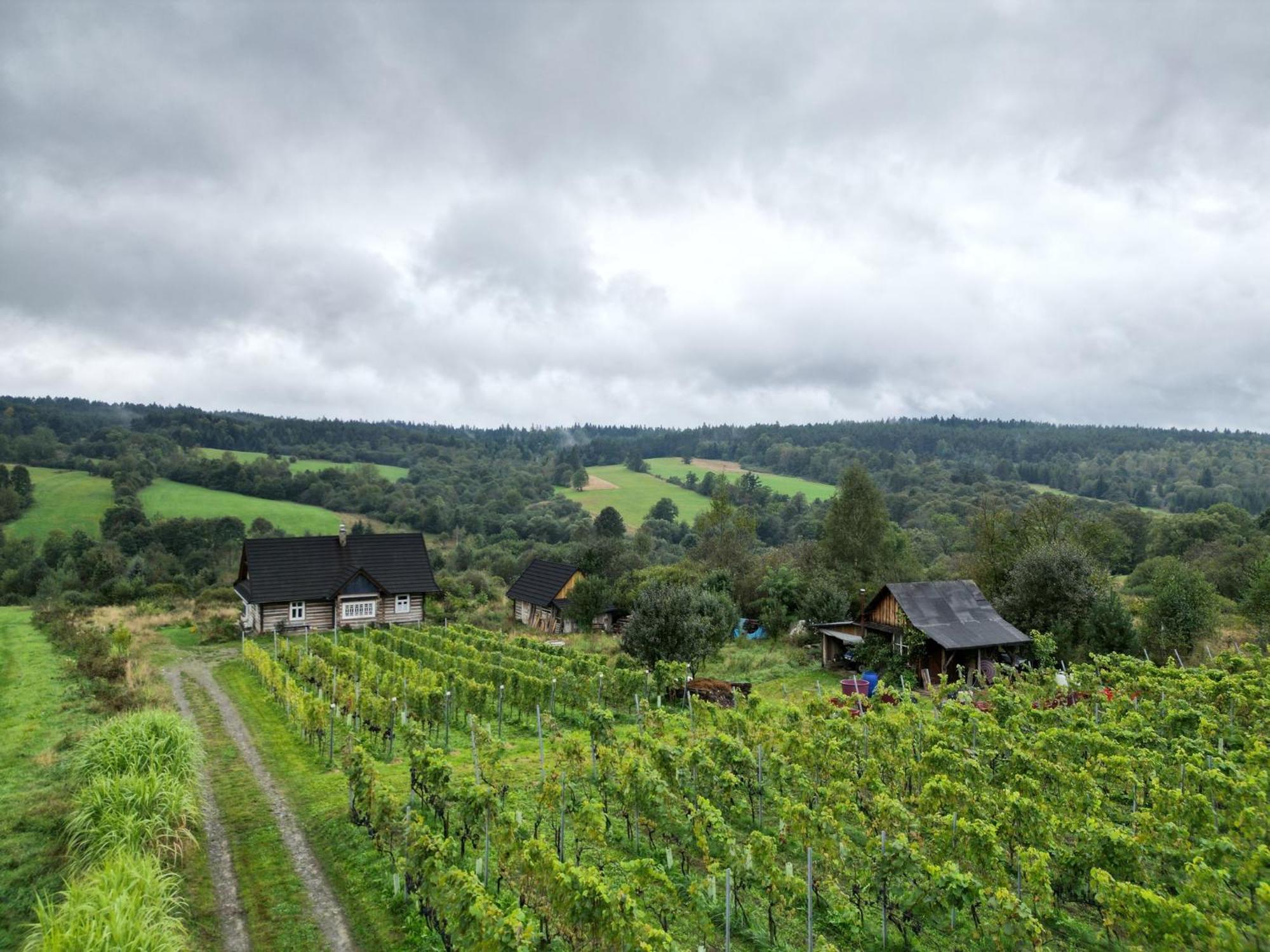 Utopia Dom Przy Winnicy Nowica Exterior foto