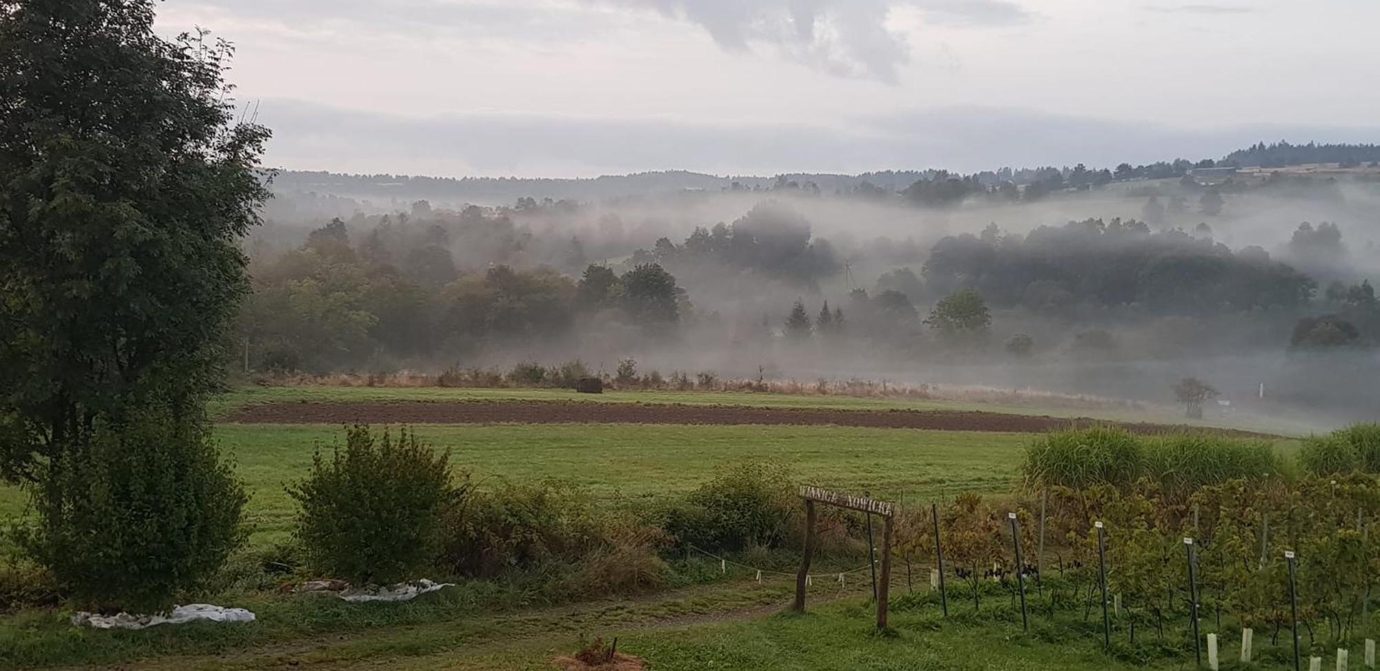 Utopia Dom Przy Winnicy Nowica Exterior foto